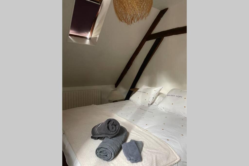 Appartement «La Vie Est Belle» Au Coeur De Sézanne Eksteriør bilde